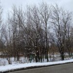 95 W South Drive Lakemoor IL 60051