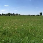 8709 Prairiefield Drive  Union IL 60180