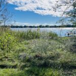 34871 LAKE SHORE Drive  Lake Villa IL 60046