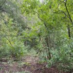 1351 Sheridan Road  Lake Forest IL 60045