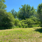 Lot 25 Tiffany Drive  Crete IL 60417