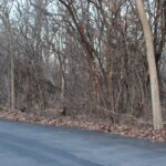 27W020 Walz Way  Wheaton IL 60189