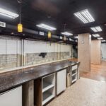 3930 Pine Grove Avenue C-2 Chicago IL 60613