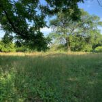 3523 Long Grove Road  Long Grove IL 60047