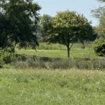 Lot 115 Sec 1-33-6 Country Club Lane  Morris IL 60450