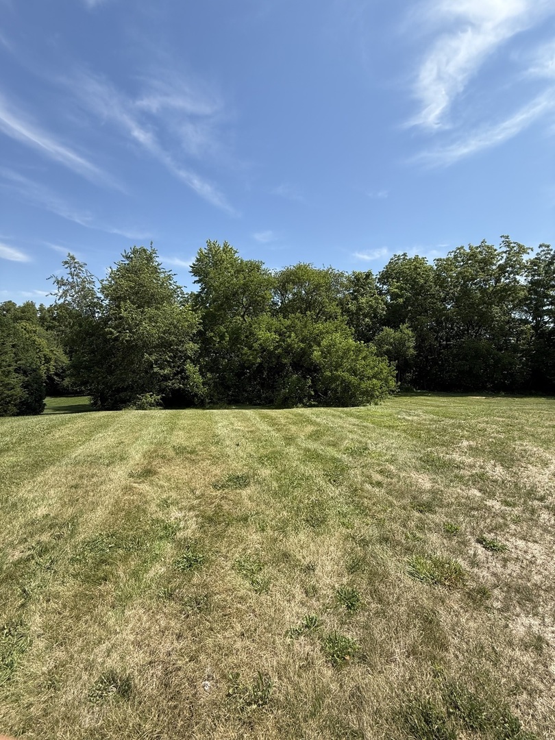 LOT 63 and 78 Cobble Creek Lane Heyworth IL 61745