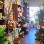 123 9th Street 1A Lockport IL 60441