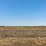 32309 Cedar Road  Manhattan IL 60442