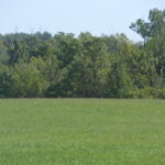 Vacant High Road  Lockport IL 60441