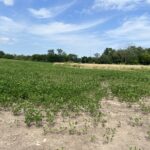 Will Cook Rd.+ Southwest Highway  Mokena IL 60448