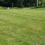 659 Maple Avenue  Mundelein IL 60060