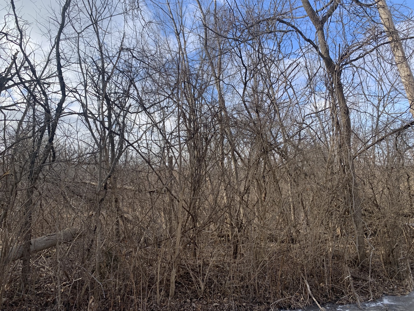 000 Riverside Drive  Crystal Lake IL 60014