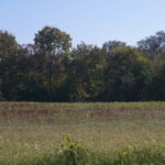 Sec8 Eames Street  Channahon IL 60410