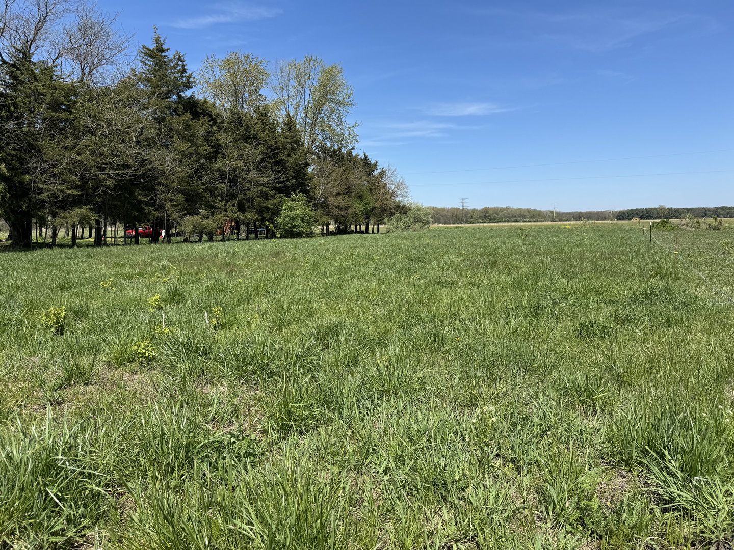 24230 6000 Road  Essex IL 60935