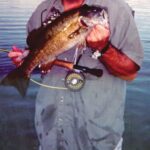 Lot 839 Lake Wildwood Drive  Varna IL 61375