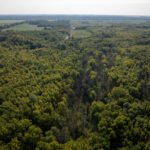 Tract 3 Mayflower Road  Clay City IL 62824