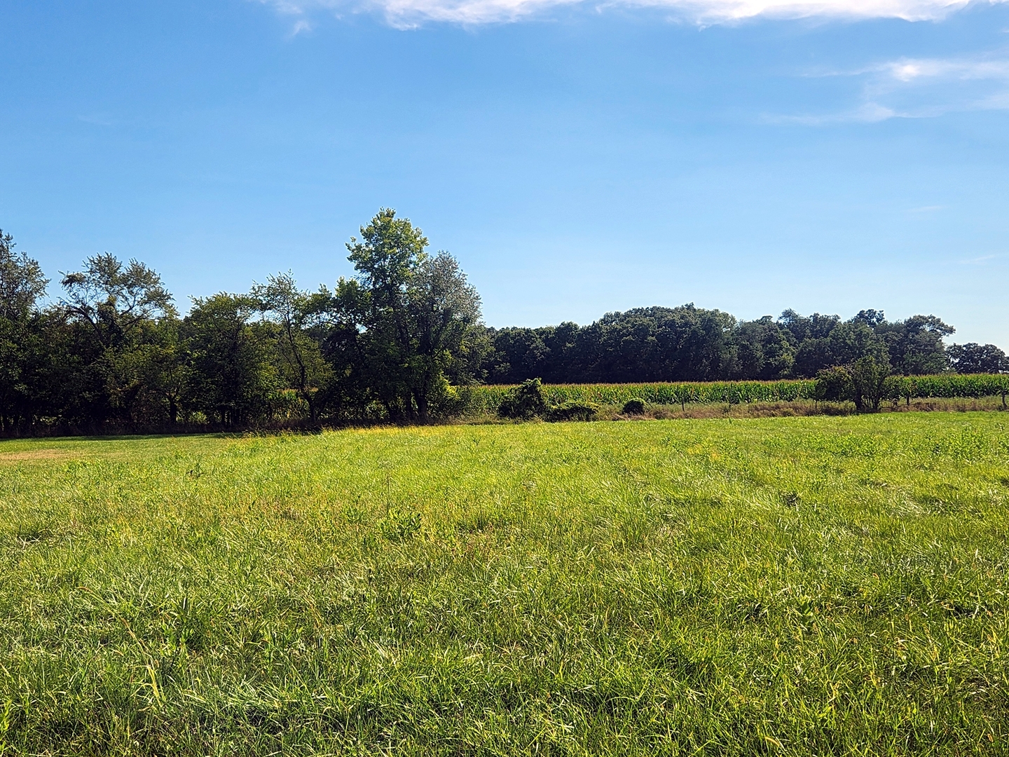 Lot 826 Brookside Drive  Varna IL 61375