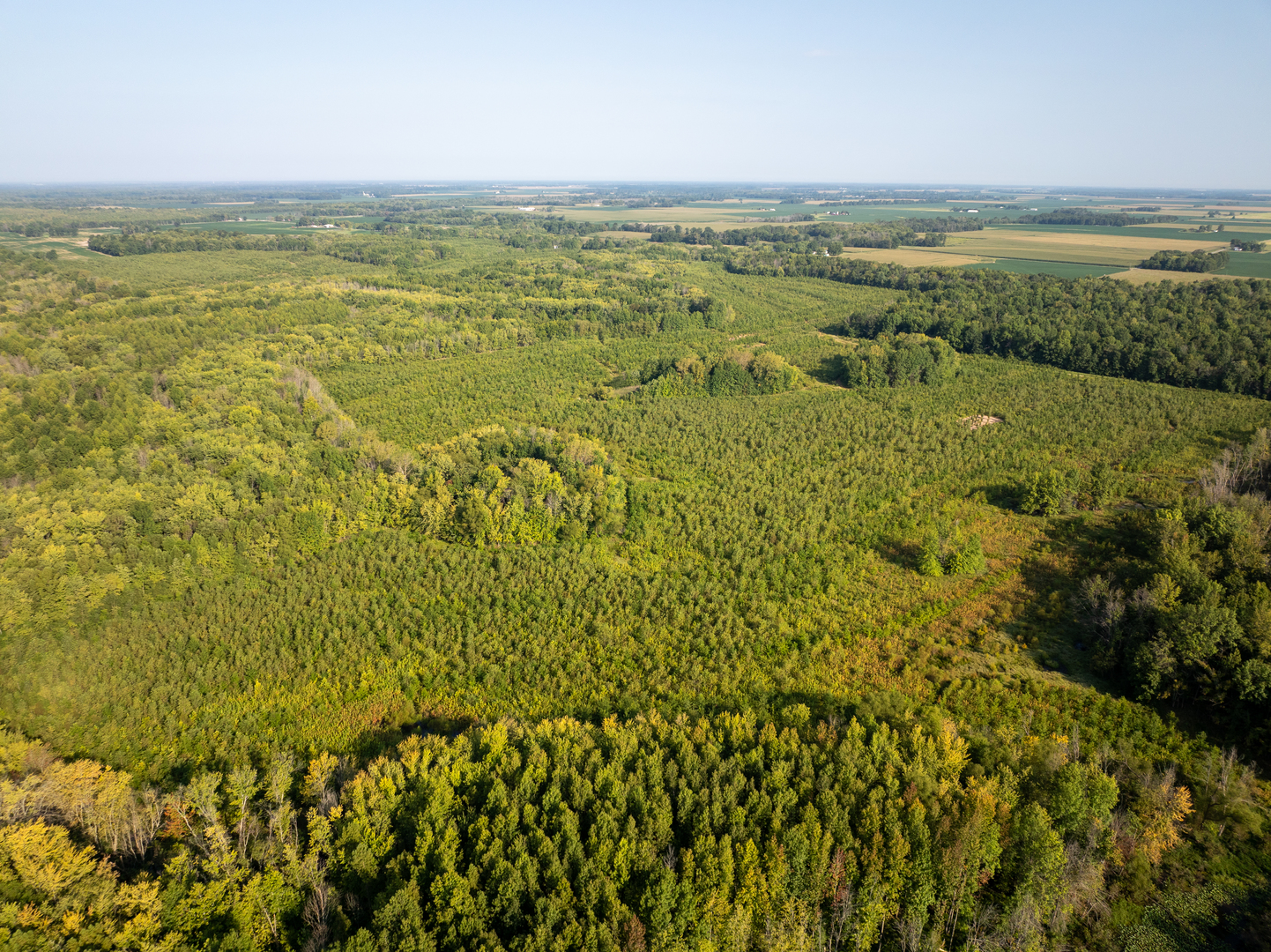 Tract 2 Mint Lane  Clay City IL 62824