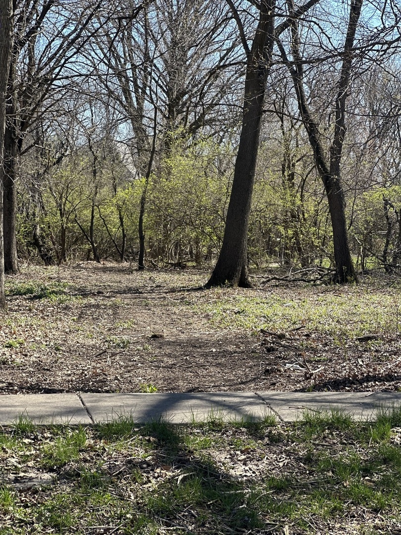 24863 Sterling Oaks Court  Shorewood IL 60404