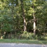 1105 Jay Court  Varna IL 61375