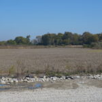 Sec29 Heritage Drive  Elwood IL 60421