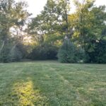 946 Garfield Street  Hinsdale IL 60521
