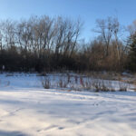 330 Poteet Avenue  Inverness IL 60067