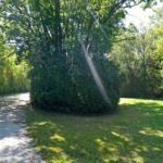 18238 Gages Lake Road Grayslake IL 60030