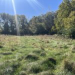 211 Norfolk Way  Essex IL 60935