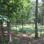 Six Mile Grove Sub 04-31-14E   Momence IL 60954