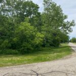 Lot 65 & 66 Main Street  Spring Grove IL 60081