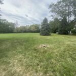21920 Burr Ridge Drive  Shorewood IL 60404