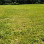 659 Maple Avenue  Mundelein IL 60060