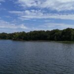 5751 White Pigeon Road  Weldon IL 61882