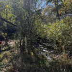 23976 Beach Grove Road  Antioch IL 60002