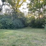 946 Garfield Street  Hinsdale IL 60521