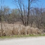 27W0S Roosevelt Road  Winfield IL 60190