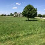 8709 Prairiefield Drive  Union IL 60180