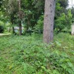 25570 High Street  Wauconda IL 60084