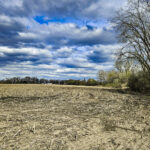 26155 IL Route 120   Grayslake IL 60030