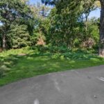 25 W 500 Royce Road Naperville IL 60565