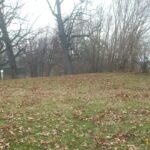 219 Mulberry Street  Watseka IL 60970