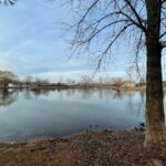 38 Nightingale Circle  Camargo IL 61919