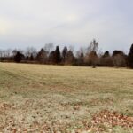 1180 Lakewood Drive  Morris IL 60450