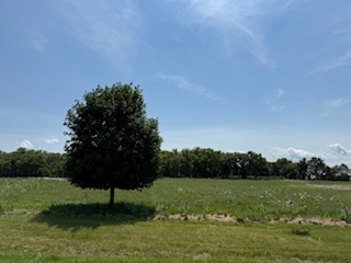 2209 Ann Lane  Woodstock IL 60098