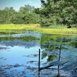 North Route 23 Highway  Streator IL 61364