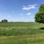 17402 Wildflower Circle  Union IL 60180