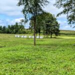 4215 Il Route 47   Woodstock IL 60098