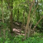 Lots 11 & 12 Ravine Drive  Spring Grove IL 60081