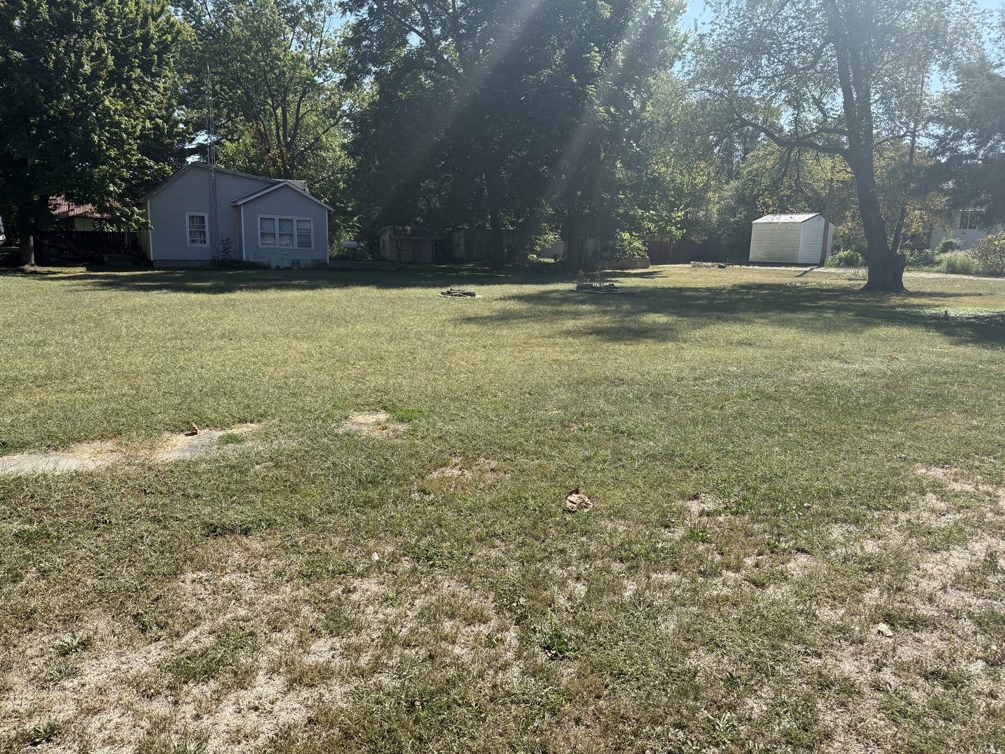 403 Hopkins Street  Newman IL 61942